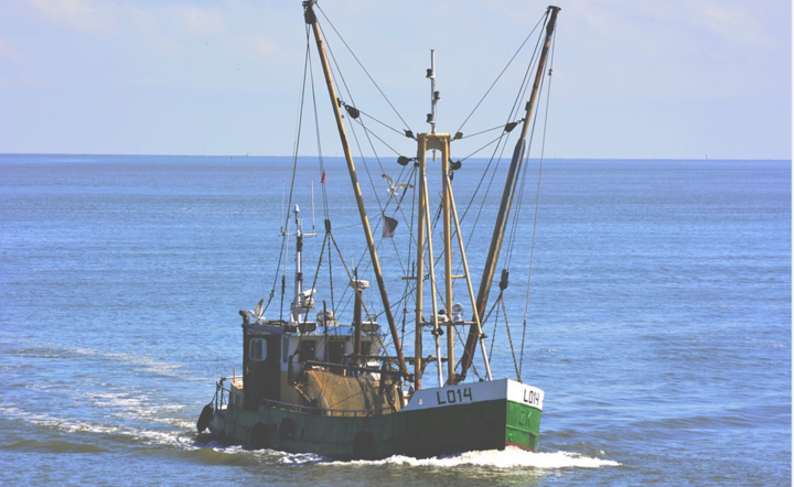 Rybacy cierpią  powodu zakazu połowów dorsza / autor: pixabay