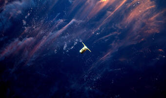 Kosmiczny statek towarowy Cygnus dotarł do ISS