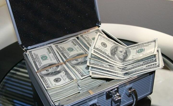 Dolary, walizka / autor: Pixabay