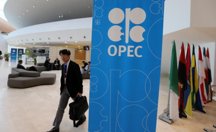 International Energy Forum (IEF15) to rónież nieformalny szczyt OPEC, fot. PAP/EPA/MOHAMED MESSARA