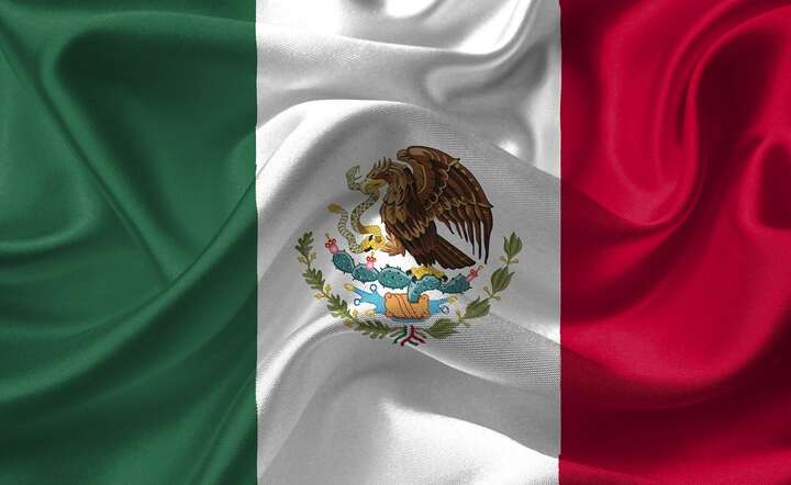 Flaga Meksyku / autor: fot. Pixabay/DavidRockDesign
