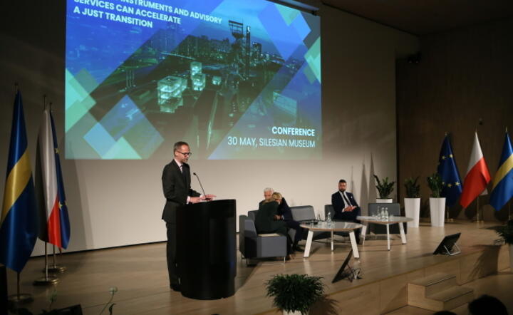 Wiceprezes EBI: transformacja energetyczna jest kluczowa, by uniezależnić się od paliw z Rosji