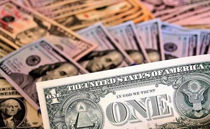 Dolar jest nieco słabszy, choć potrzeba lupy, by tą słabość dostrzec / autor: Pixabay