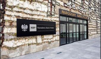 Glapiński: projekt o PIE koliduje z zadaniami NBP