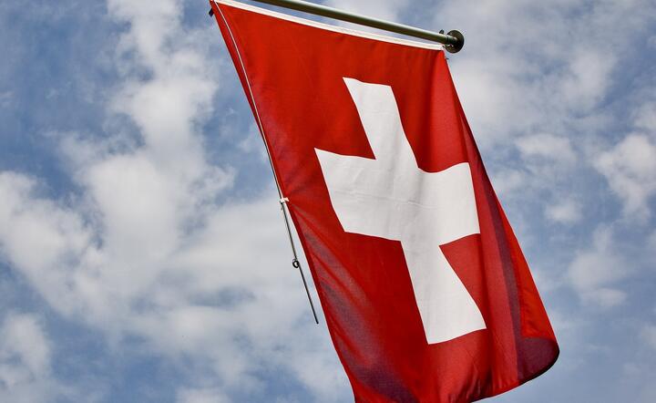 Szwajcarski bank narodowy odnotował rekordową stratę / autor: pixabay
