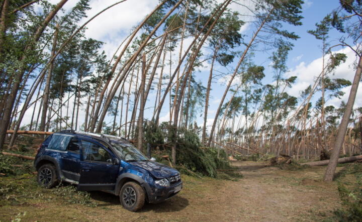Zniszczony las w Borach Tucholskich, fot. PAP/Jan Dzban (2)