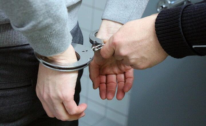 Aresztowanie/przestępczość / autor: Pixabay