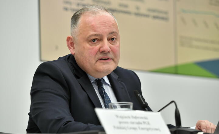 Wojciech Dąbrowski, prezes PGE / autor: PAP