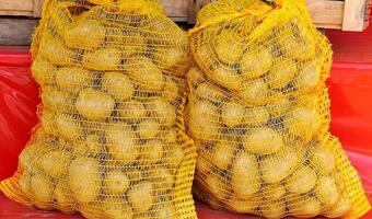 Ziemniaki można kupić w automacie. Cena o połowę niższa niż na targu