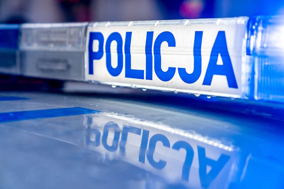 Policja / autor: Fratria