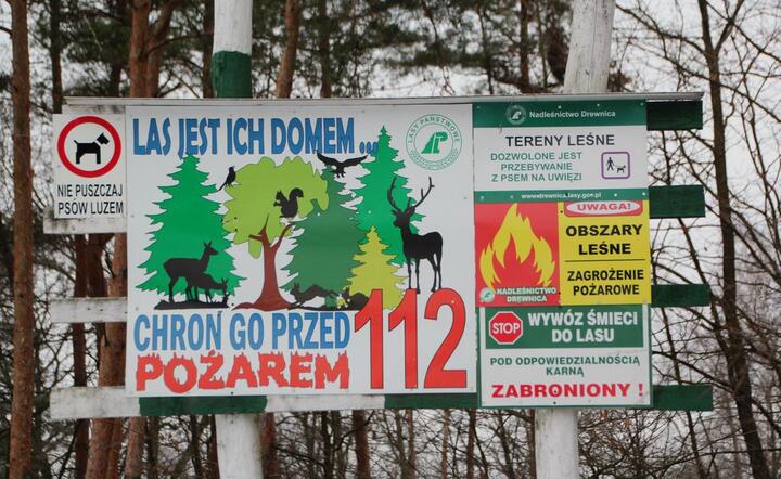 Mimo wysokiego stopnia zabezpieczenia w tym roku w polskich lasach wybuchło około 6 tys. pożarów / autor: fot. Fratria / MK