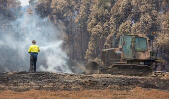 Australia: Udało się opanować "wielki pożar"