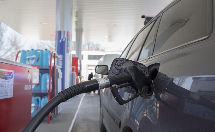 Ceny benzyny mogą spaść o ok. 10 gr za litr, ale i tak paliwa są dużo droższe niż przed rokiem / autor: Fratria / Andrzej Wiktor
