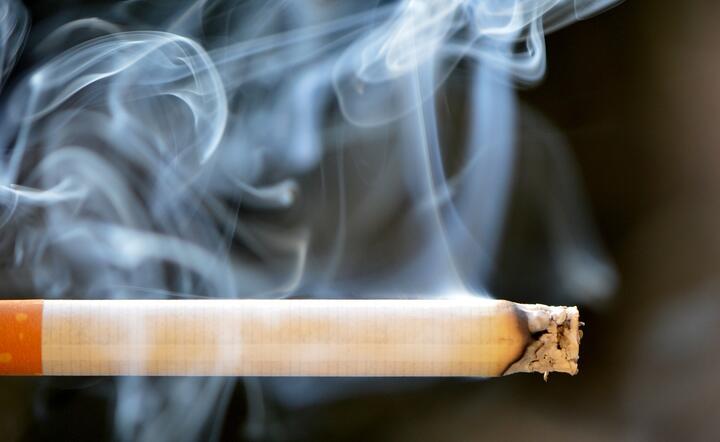 Czy świat wolny od papierosowego dymu jest możliwy?