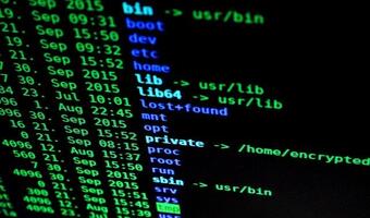Cisco: Polska czołówką europejską w cyberbezpieczeństwie