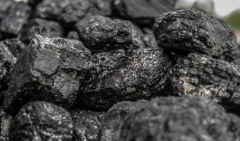 Niemcy mogą zastąpić rosyjski węgiel do końca roku