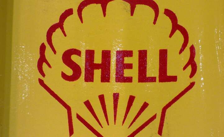 Ekolodzy grożą, że jeśli Shell nie zaprzestanie wierceń, zostanie do tego prawnie zmuszony / autor: Pixabay