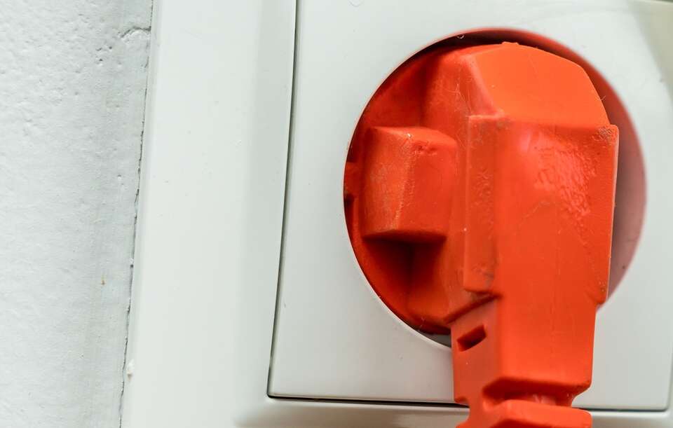 gniazdko / autor: Fratria