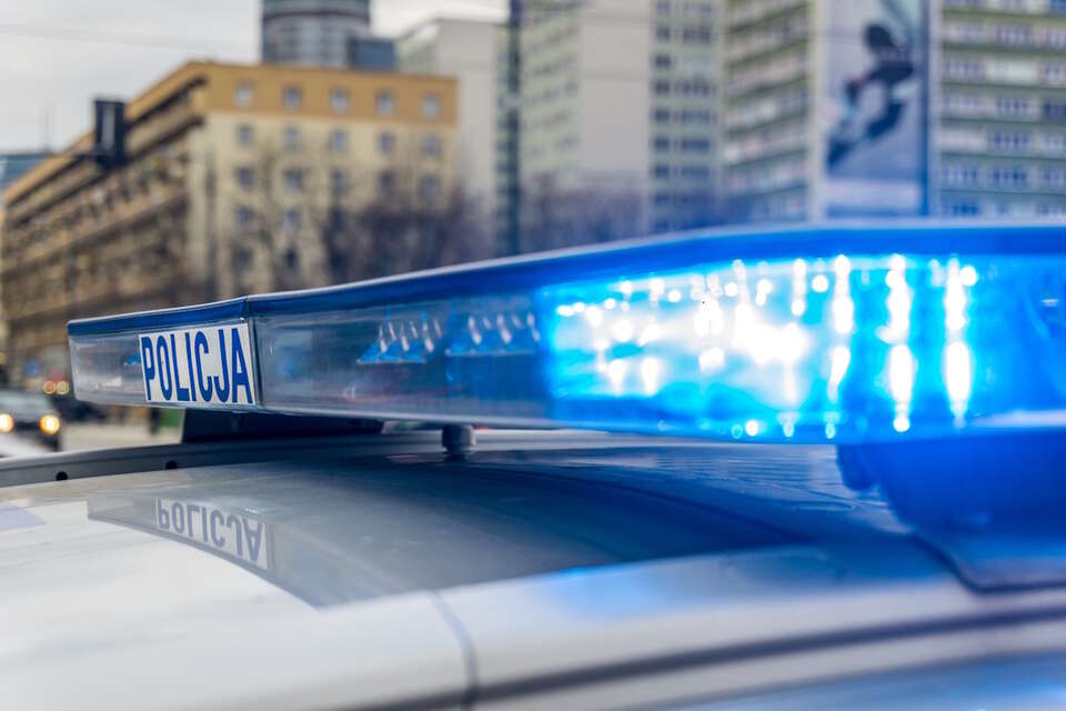 Policja / autor: Fratria