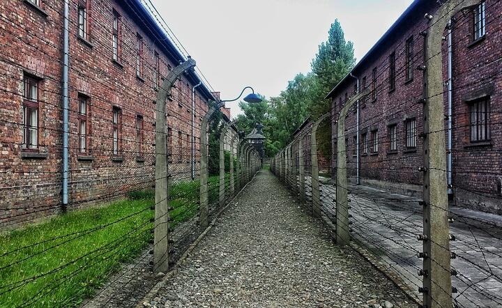 Niemiecki obóz koncentracyjny Auschwitz Birkenau, dziś teren muzeum przypominające zbrodnie ludobójstwa dokonane przez Niemców w latach 1940-1945 / autor: Pixabay