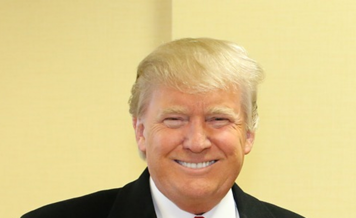 D.Trump. Prezydent USA / autor: pixabay