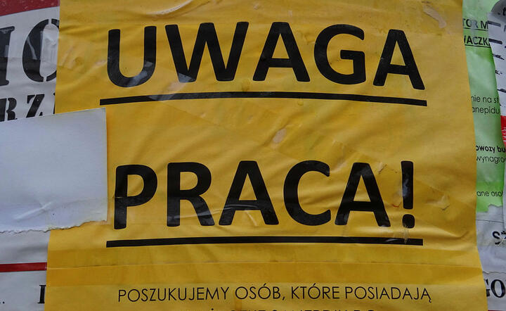 B.Marczuk dla wPolityce.pl: Mamy rekordowo niskie bezrobocie