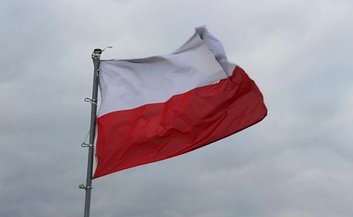 Flaga Polski / autor: Fratria