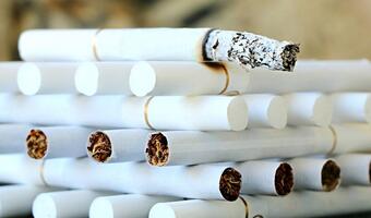W branży tytoniowej trwa wyścig z czasem