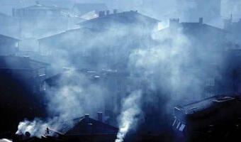 Władze Krakowa i Małopolski: Zakaz palenia węglem konieczny