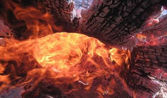 Pożary trawią Portugalię! Ogień blisko popularnego kurortu