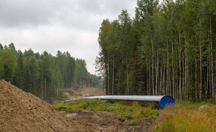 Geograficzna bliskość Polski i Ukrainy, istniejąca infrastruktura przesyłu gazu, stwarzają naturalne warunki do strategicznego partnerstwa w dziedzinie biometanu / autor: Pixabay