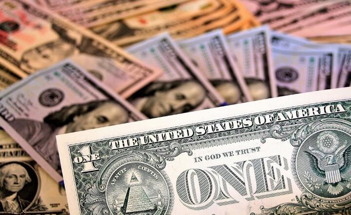 Dolar amerykański  / autor: Pixabay 