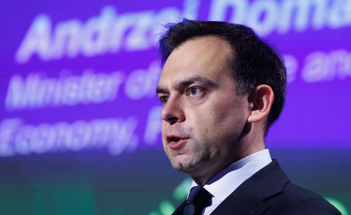 Minister finansów Andrzej Domański / autor: PAP