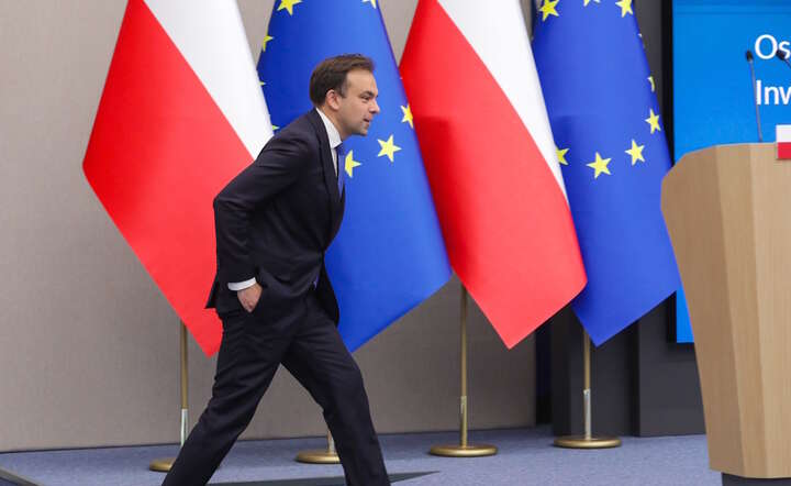 Minister finansów Andrzej Domański / autor: PAP