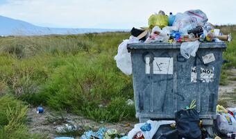 Afera w Bułgarii. Jeden z wiceministrów oskarżony o nielegalny import odpadów