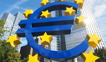 Co ze stopami proc. w strefie euro? Opinia eksperta