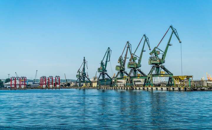 Port w Gdyni / autor: Fratria /AS