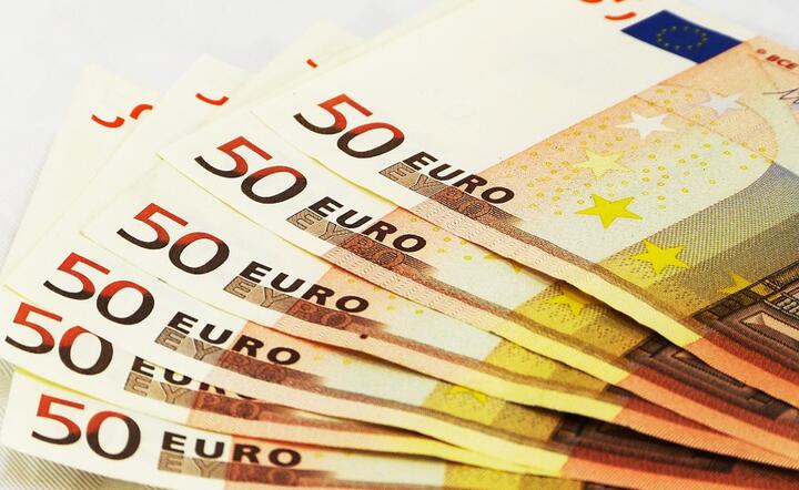euro/banknoty / autor: Pixabay