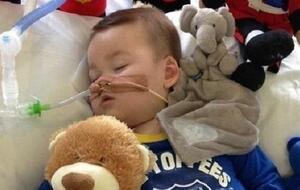 Alfie Evans / autor: Twitter