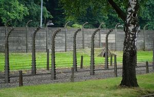 Auschwitz-Birkenau / autor: Fratria