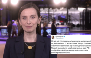Sylwia Spurek / autor: YouTube/dr. Sylwia Spurek/Twitter/@SylwiaSpurek