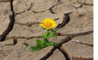 Będą coraz większe problemy z wodą