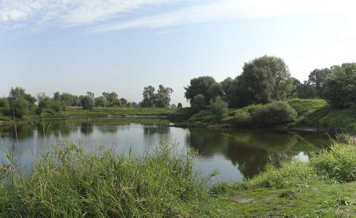Odra w okolicach Brzegu Dolnego, fot. Wikipedia/Jan Skrodzki - Praca własna/GFDL