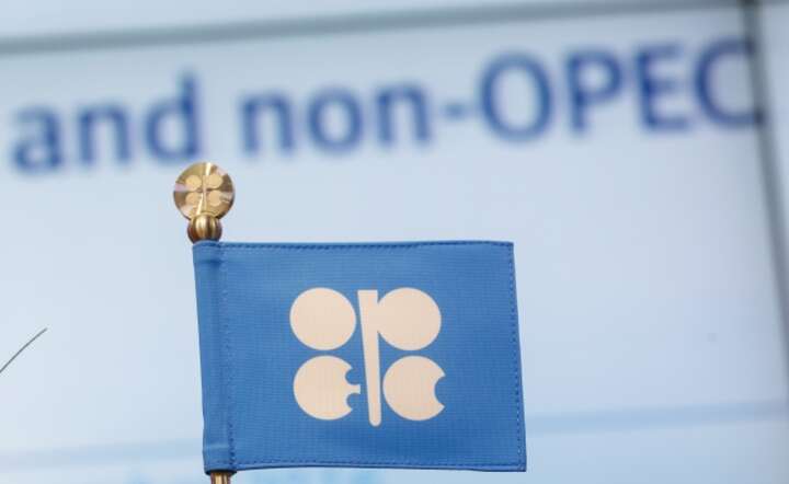 W Wiedniu odbyło się spotkanie producentów ropy, niezrzeszonych w OPEC, fot. PAP/EPA/LISI NIESNER