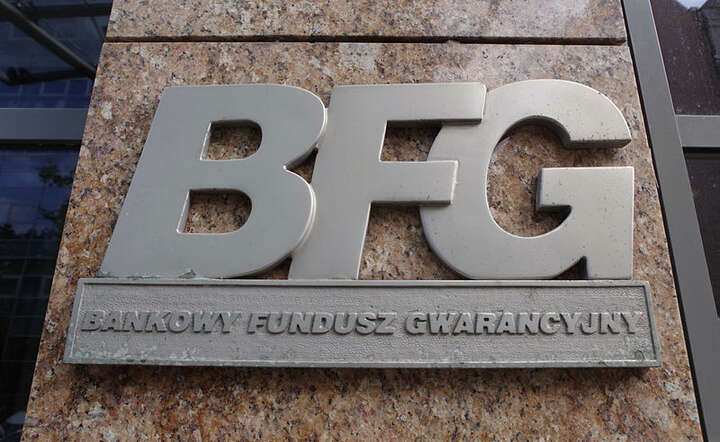 BFG / autor: Fratria