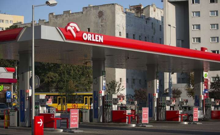 Orlen / autor: Fratria