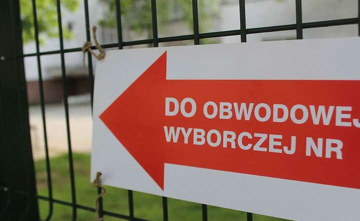 Wybory / autor: Fratria