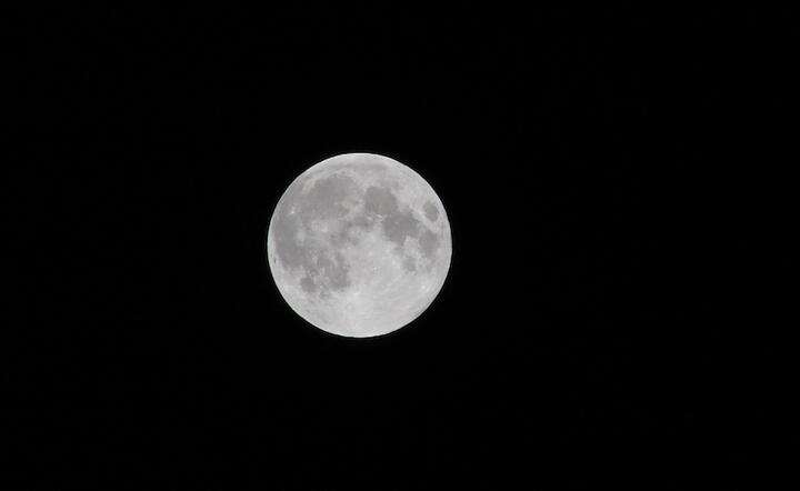 Fot. Freeimages/R Stewart