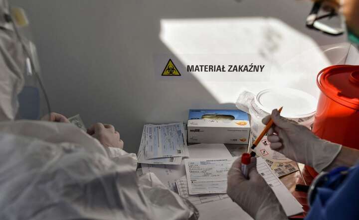 Pobieranie próbek do badań / autor: PAP/Wojtek Jargiło