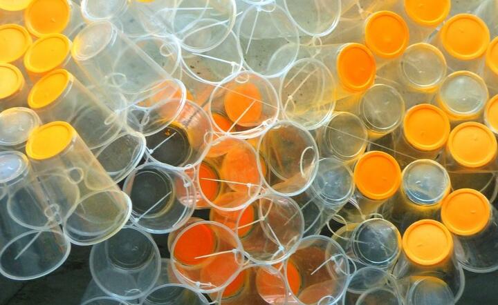 Plastik / autor: Pixabay